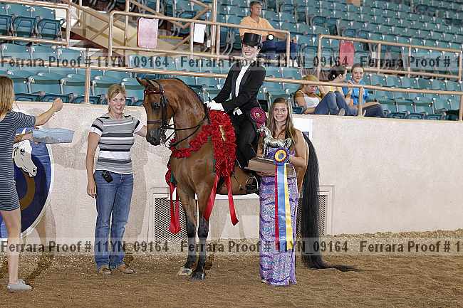 Proof 11yn_09164