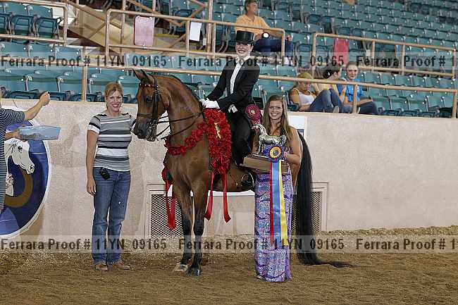 Proof 11yn_09165