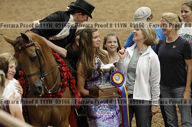 Proof 11yn_09166