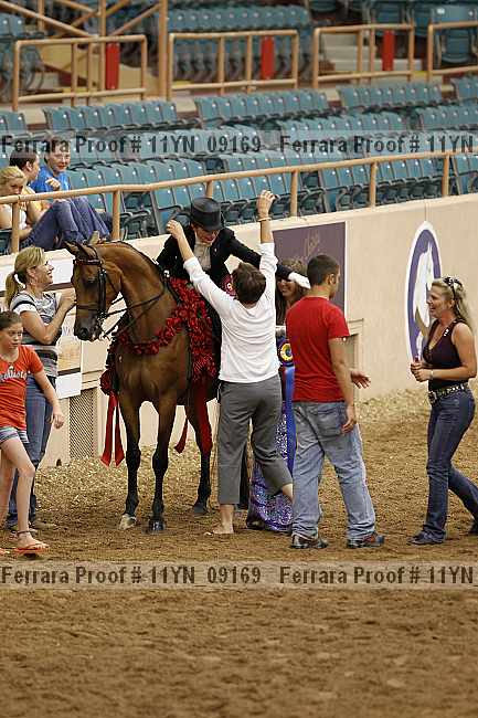 Proof 11yn_09169