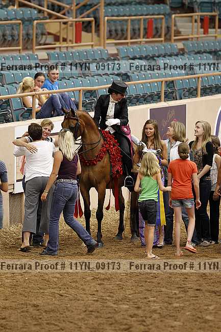 Proof 11yn_09173
