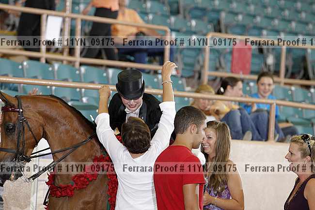 Proof 11yn_09175