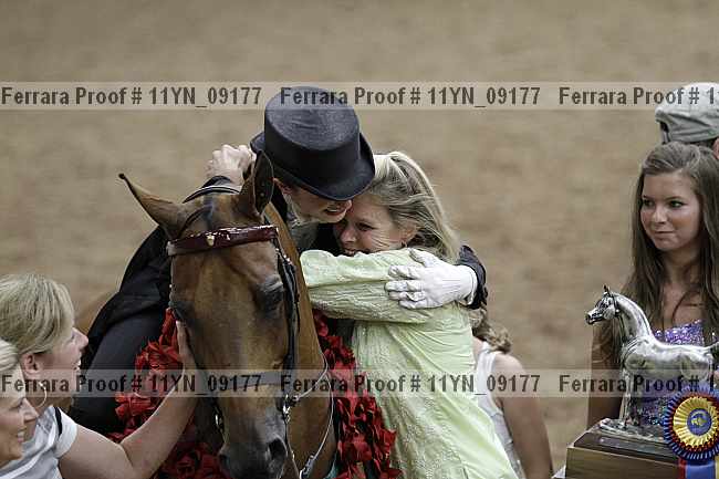 Proof 11yn_09177