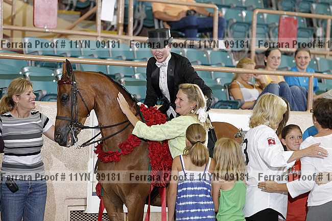 Proof 11yn_09181