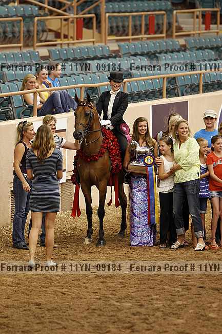 Proof 11yn_09184