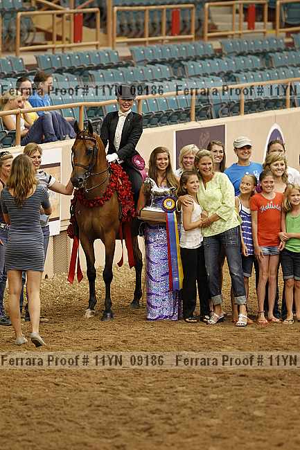 Proof 11yn_09186