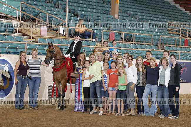 Proof 11yn_09191