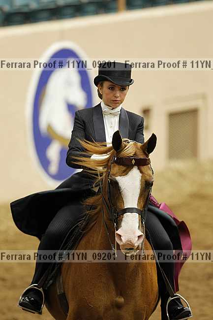 Proof 11yn_09201