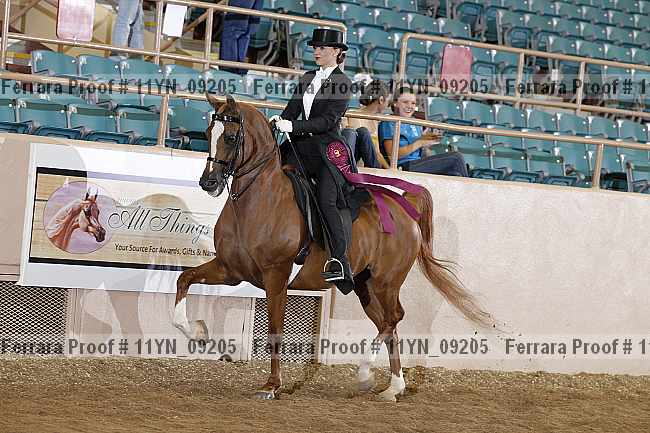 Proof 11yn_09205