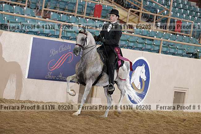 Proof 11yn_09208