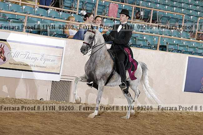 Proof 11yn_09209