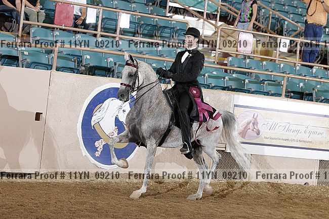 Proof 11yn_09210