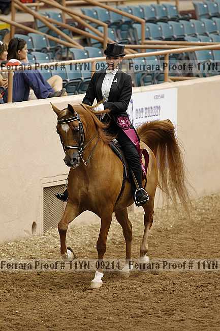 Proof 11yn_09214