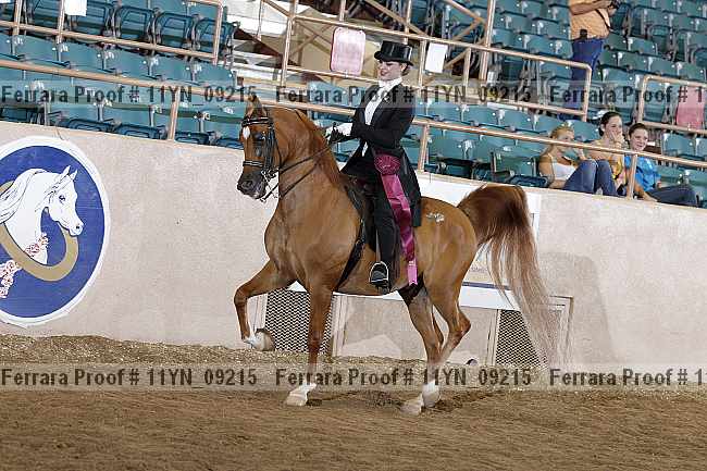 Proof 11yn_09215