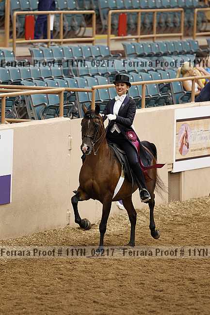 Proof 11yn_09217