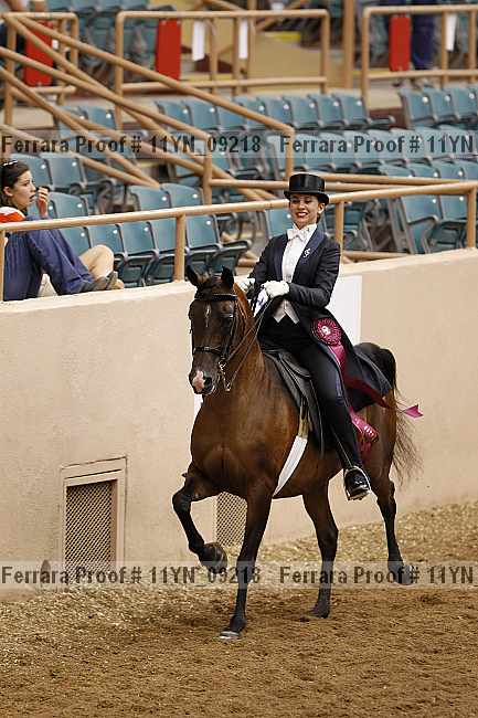 Proof 11yn_09218