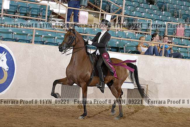 Proof 11yn_09221