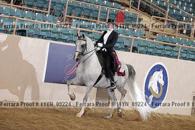 Proof 11yn_09224