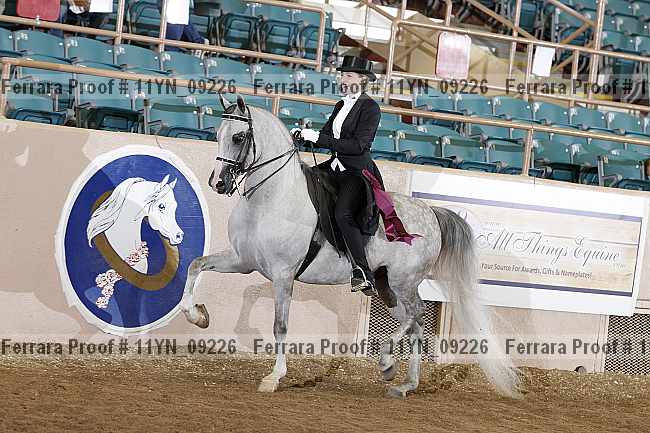 Proof 11yn_09226