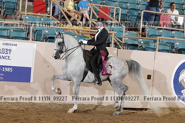 Proof 11yn_09227