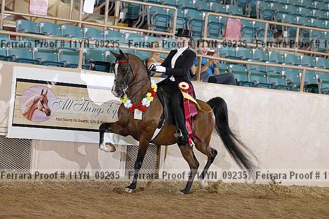 Proof 11yn_09235