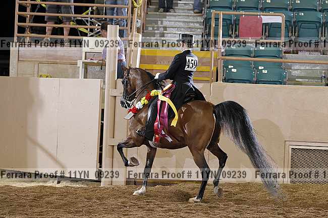 Proof 11yn_09239