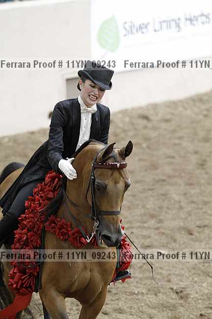 Proof 11yn_09243