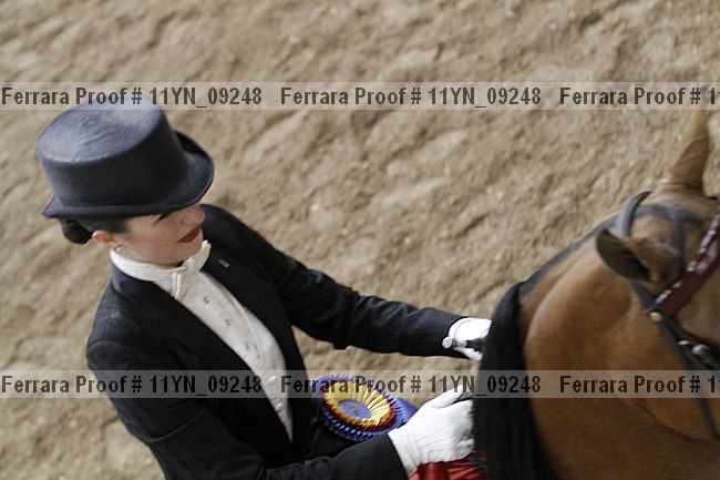 Proof 11yn_09248