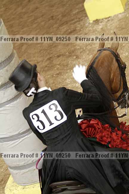 Proof 11yn_09250