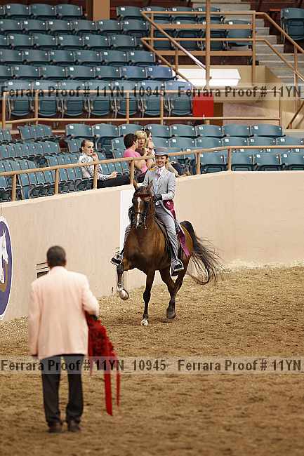 Proof 11yn_10945