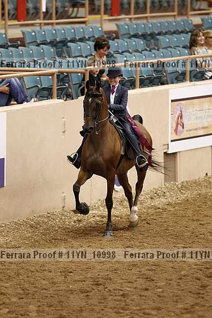 Proof 11yn_10998