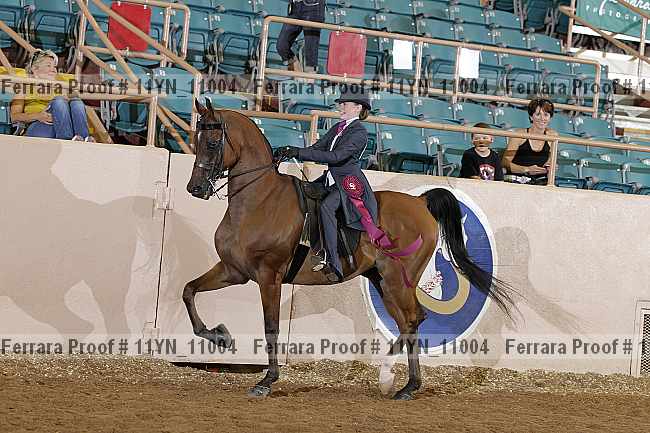 Proof 11yn_11004