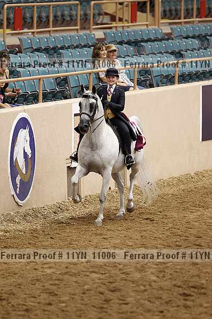 Proof 11yn_11006