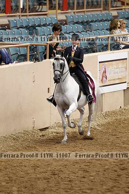 Proof 11yn_11007