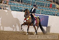 11yn_11023 proof