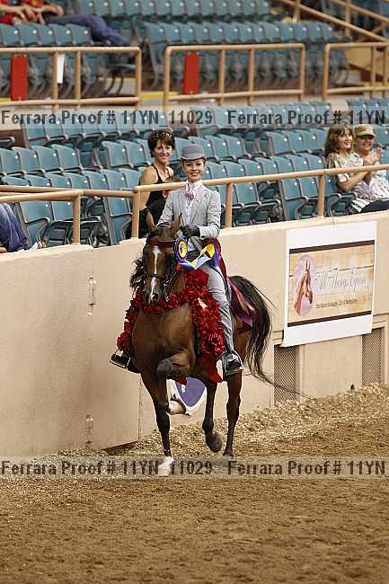 Proof 11yn_11029