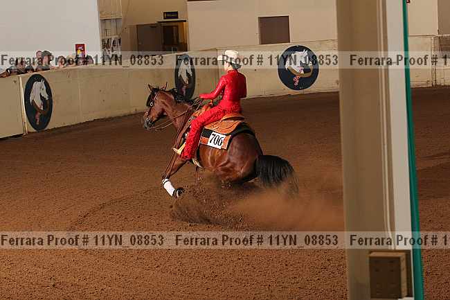 Proof 11yn_08853
