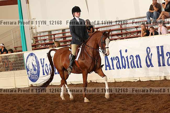 Proof 11yn_12168