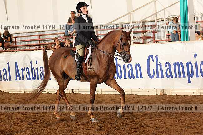 Proof 11yn_12172