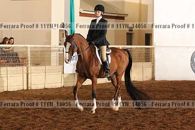 Proof 11yn_14056