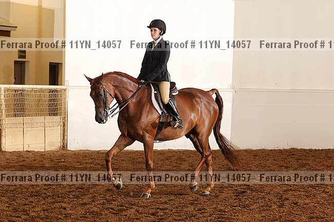 Proof 11yn_14057