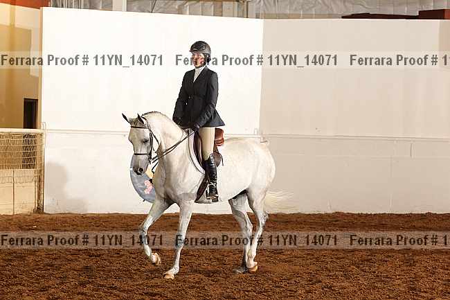 Proof 11yn_14071