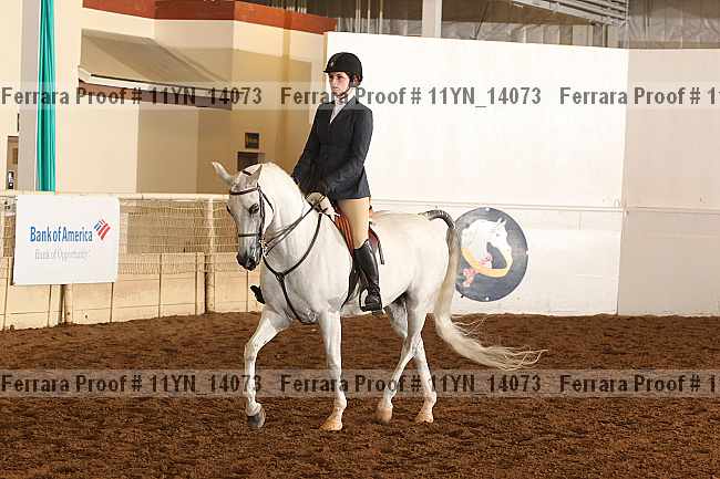 Proof 11yn_14073