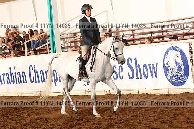Proof 11yn_14085