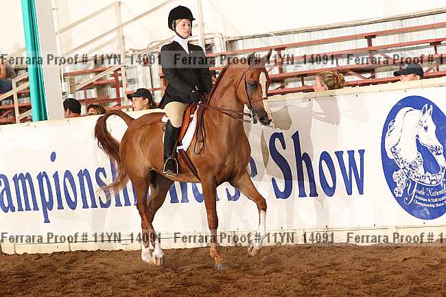 Proof 11yn_14091