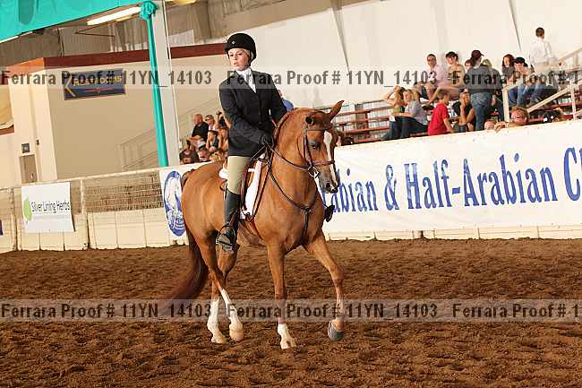 Proof 11yn_14103