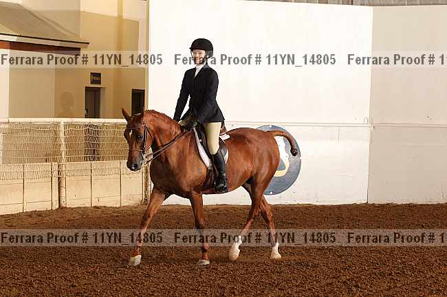 Proof 11yn_14805