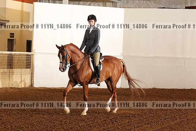 Proof 11yn_14806