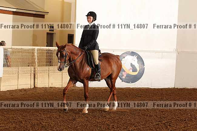 Proof 11yn_14807