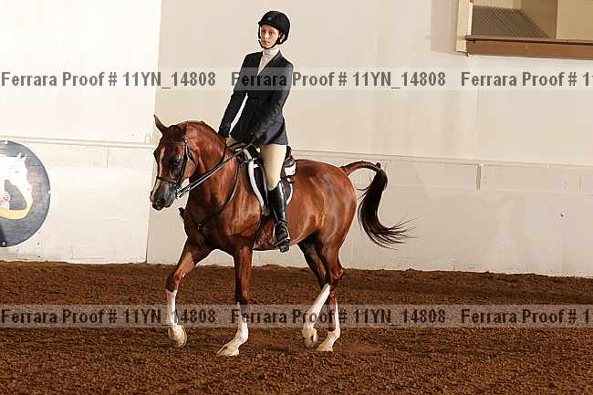 Proof 11yn_14808